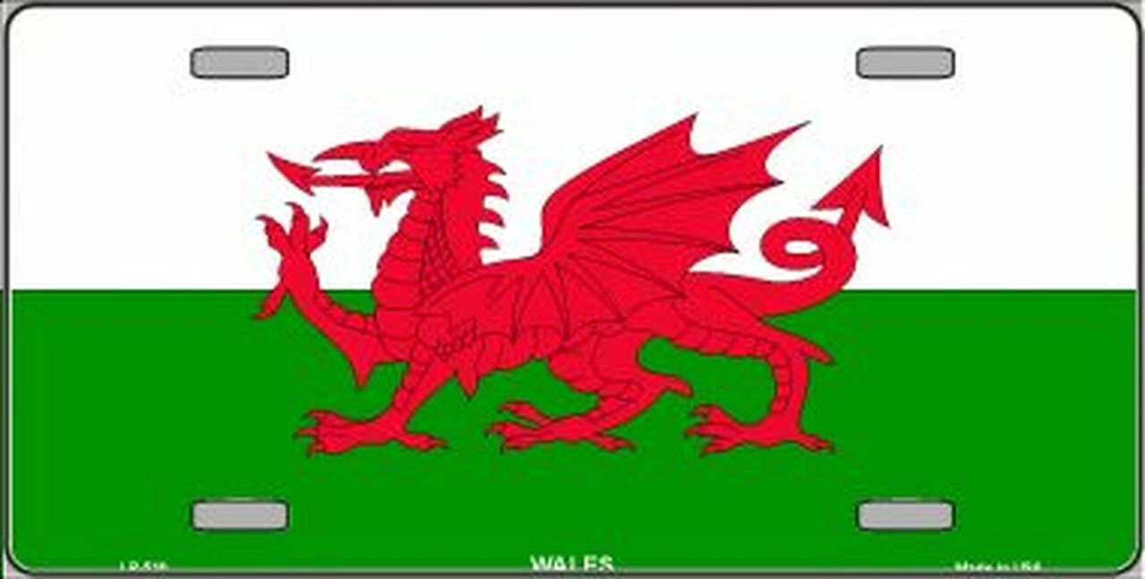 WALES Flag Metal License Plate Sign Novelty Vanity Cymry Cymru Welsh UK Craft Supply